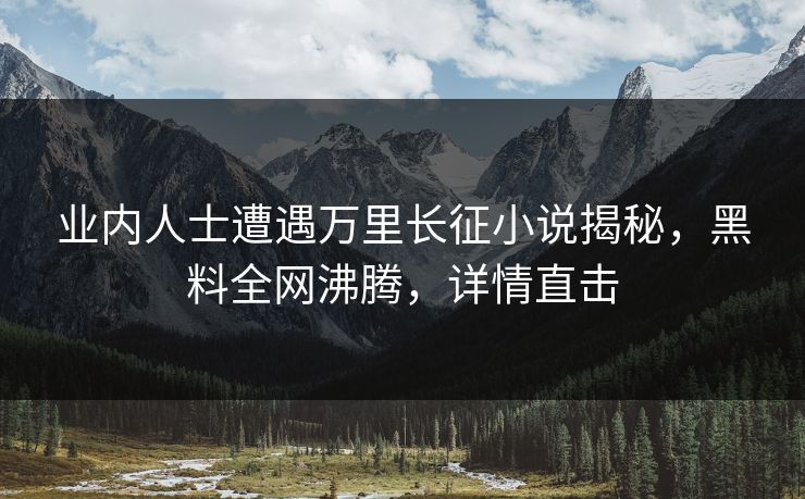 业内人士遭遇万里长征小说揭秘，黑料全网沸腾，详情直击