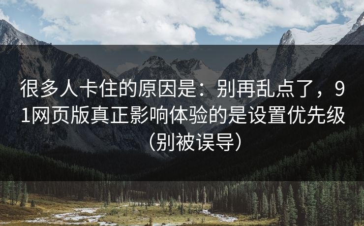 很多人卡住的原因是：别再乱点了，91网页版真正影响体验的是设置优先级（别被误导）